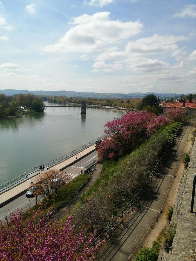 Maison "Le Figuier" Trevoux Climatisee Zewnętrze zdjęcie
